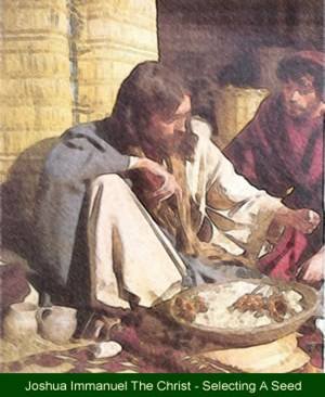 Kristus triedi zrno